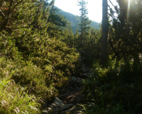 ToniGauggWeg