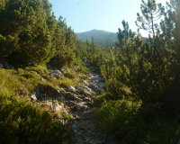 ToniGauggWeg