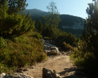 ToniGauggWeg