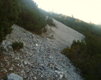 ToniGauggWeg