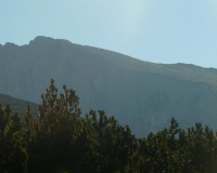 ToniGauggWeg