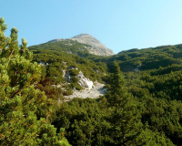 ToniGauggWeg
