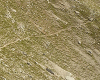 ToniGauggWeg