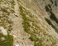 ToniGauggWeg