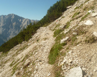ToniGauggWeg