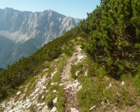 ToniGauggWeg