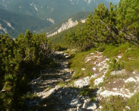 ToniGauggWeg