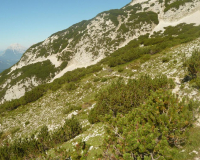 ToniGauggWeg