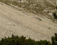 ToniGauggWeg