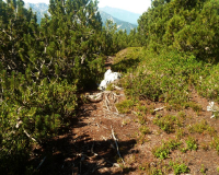 ToniGauggWeg