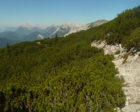 ToniGauggWeg