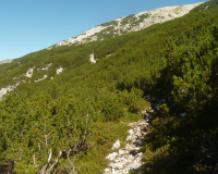 ToniGauggWeg