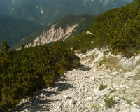 ToniGauggWeg