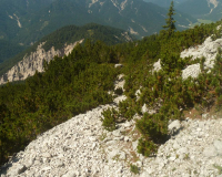 ToniGauggWeg