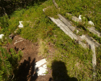 ToniGauggWeg