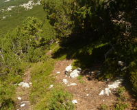 ToniGauggWeg