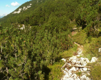 ToniGauggWeg
