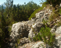 ToniGauggWeg