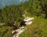 ToniGauggWeg