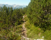 ToniGauggWeg