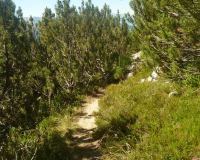 ToniGauggWeg