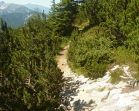ToniGauggWeg
