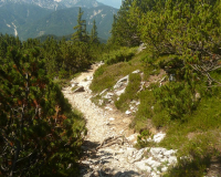 ToniGauggWeg