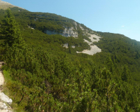 ToniGauggWeg