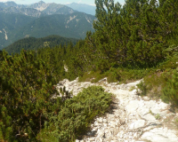 ToniGauggWeg