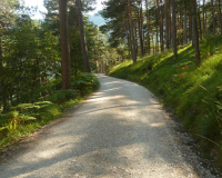 Karwendelweg Abstieg