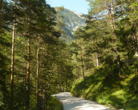 Karwendelweg Abstieg