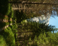 Karwendelwasserfall