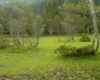 Mittenwald-Isarweg