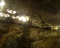 Vorderkarhöhle