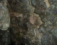 Vorderkarhöhle