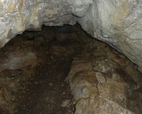 Vorderkarhöhle
