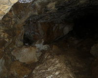 Vorderkarhöhle