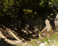 Vorderkarhöhle