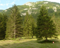 Abstieg - bei faszinierendem Fliessnebel