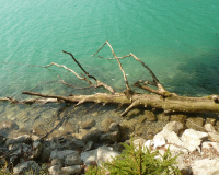 Walchensee