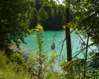 Walchensee