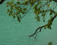 Walchensee