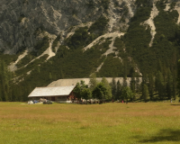 Auf dem Jagdsteig