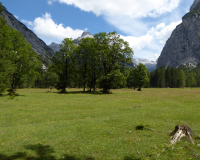 Auf dem Jagdsteig