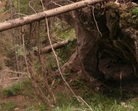 Aufstieg Pleisenspitze