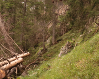 Aufstieg Pleisenspitze