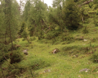 Aufstieg Pleisenspitze