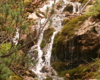 Aufstieg Pleisenspitze