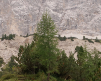 Aufstieg Pleisenspitze