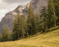 Aufstieg Pleisenspitze
